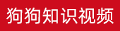 什么牌子洗发水好用ads2